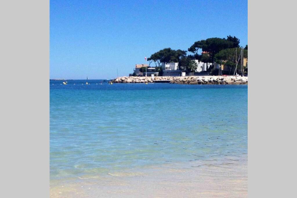 Studio Meuble Proche Plages Et Vieille Ville Antibes Eksteriør bilde